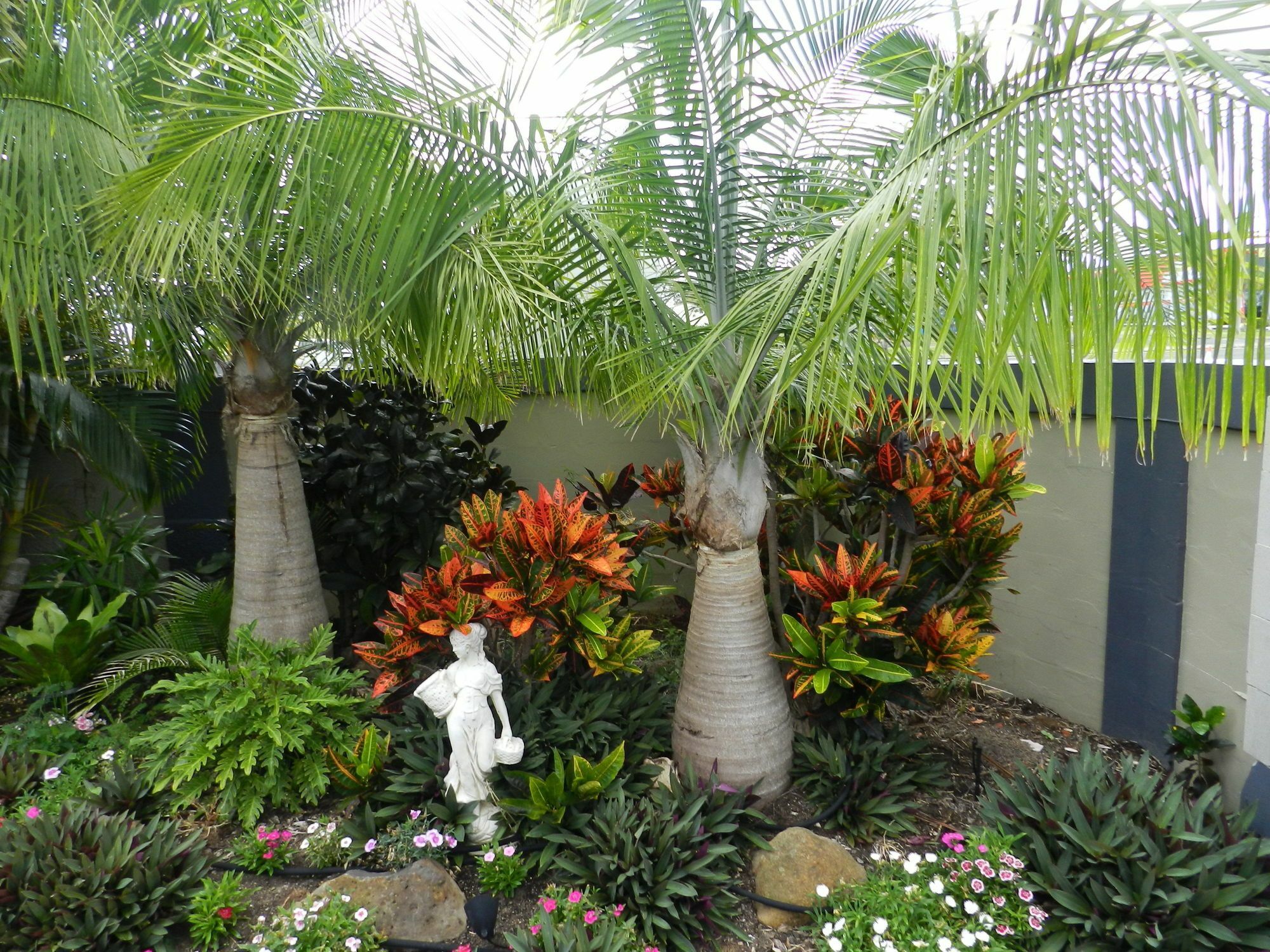 Golden Palms Motor Inn Bundaberg Exterior photo